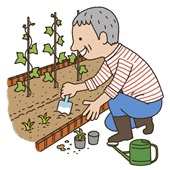 年配の男性が植物を植えているイラスト